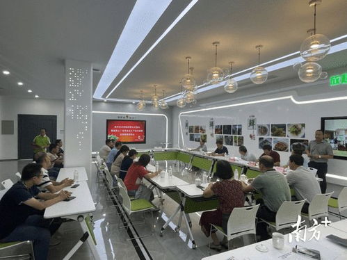 打造农业新生态 梅州乐得鲜蔬菜工厂化育苗及生产技术规程企业标准通过审评